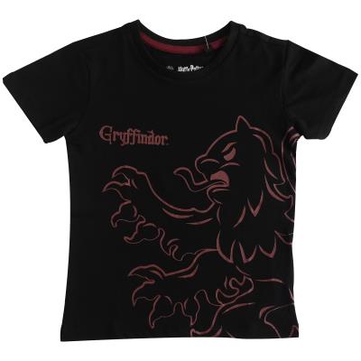 Boys Harry Potter T Shirt - Gryffindor Design (77061)