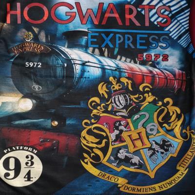Boys Harry Potter Hogwarts Express Pyjamas 