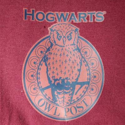 Girls Harry Potter 'Here Comes My Letter' Pyjamas