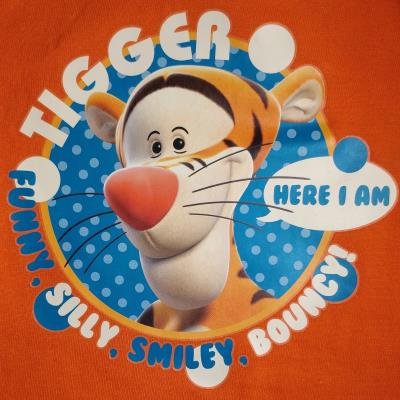 Baby Boys Winnie the Pooh Tigger Pyjamas
