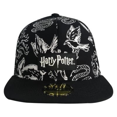Warner Brothers - Harry Potter Hat - Snapback Cap (77053)