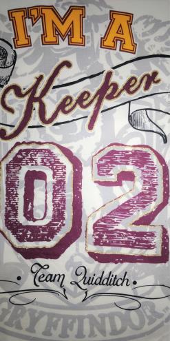 Ladies Harry Potter Pyjamas Various Designs