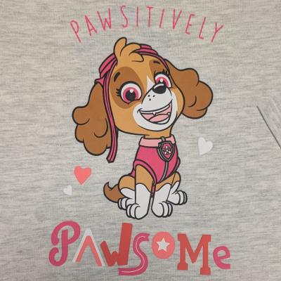 Nickelodeon's Paw Patrol- Long Sleeved T-Shirt - Pawsitively Pawsome
