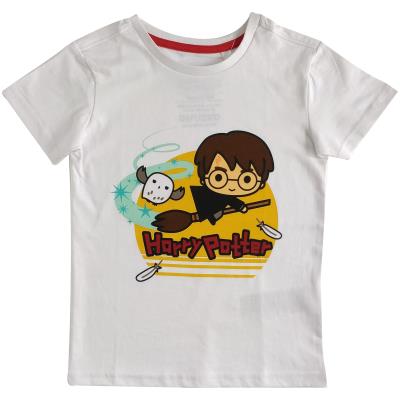 Boys Harry Potter T Shirt - Hedwig Design (77059)