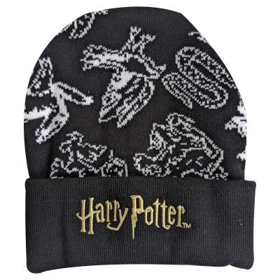 Harry Potter Beanie and Scarf - Gift Set - Adult