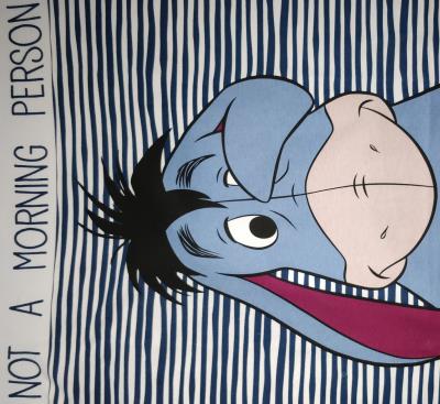 Ladies Winnie the Pooh Pyjamas Various Designs