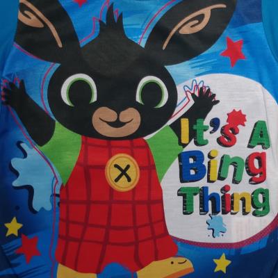 Boys Bing Bunny Pyjamas