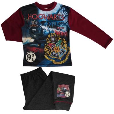 Boys Harry Potter Hogwarts Express Pyjamas 