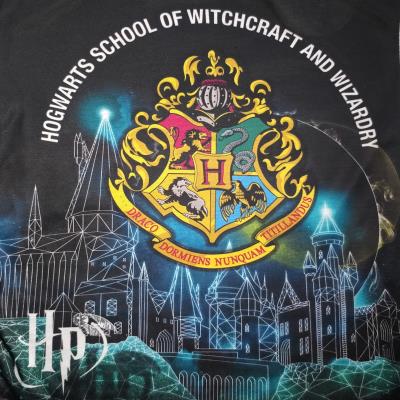 Boys Harry Potter Pyjamas