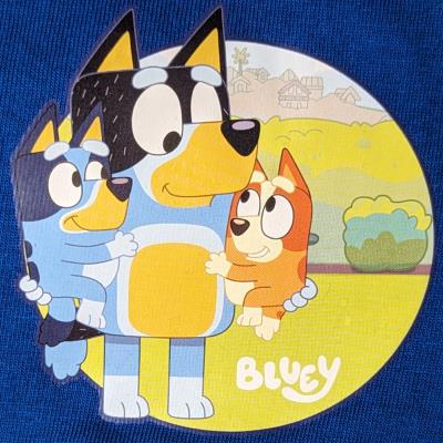 Bluey Pyjama Set - Boys - Bluey, Bingo and Bandit