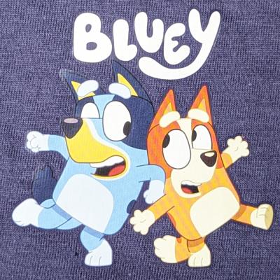 Boys Bluey Short Pyjamas - 18 Months to 5 Years - Bluey & Bingo