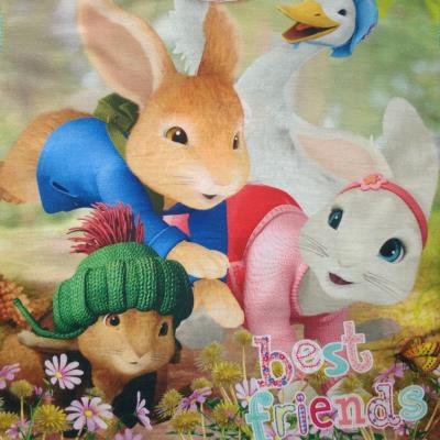 Girls Peter Rabbit Pyjamas