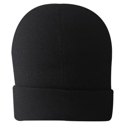 Mens Assassins Creed Valhalla Beanie