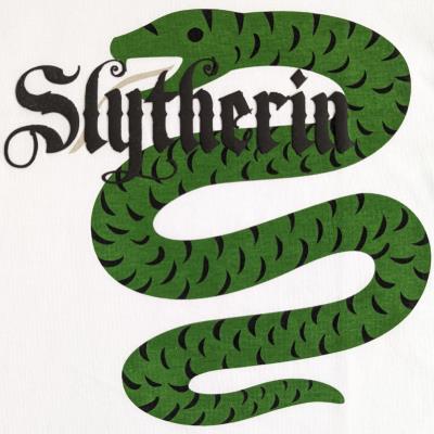 Slytherin T Shirt - Boys - Harry Potter