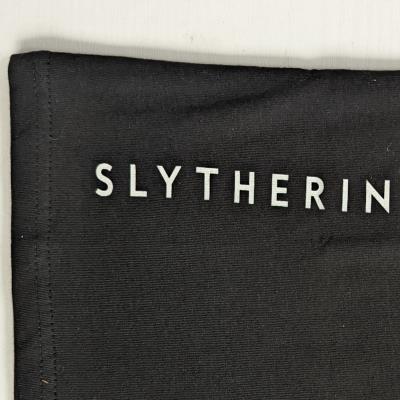 Boys Slytherin T Shirt - Harry Potter - House Emblem