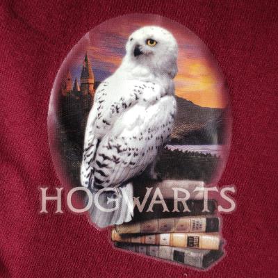 Girls Harry Potter 'Hogwarts Awaits' Pyjamas