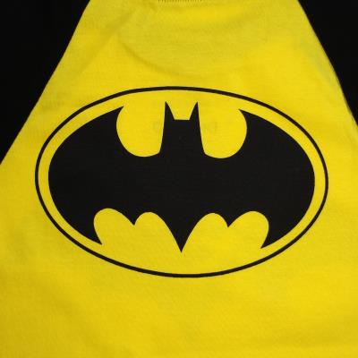 Boys Batman T Shirt - Caped Crusader