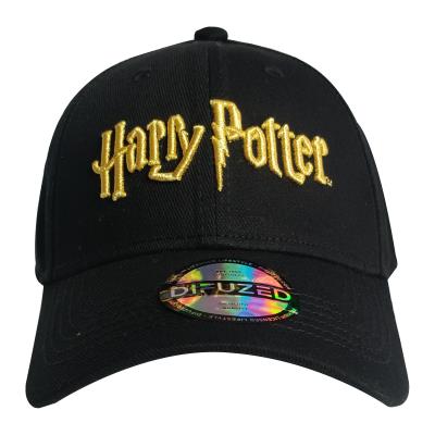 Warner Brothers - Harry Potter Cap (77054)