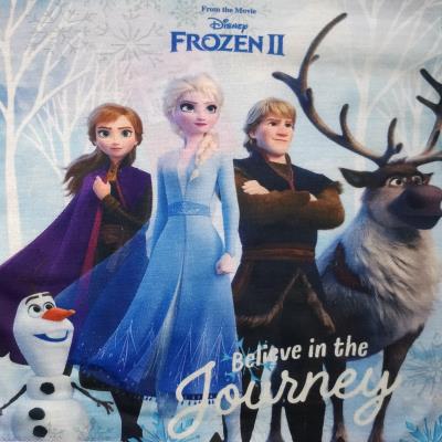 Toddler Girls Frozen 2 Pyjamas
