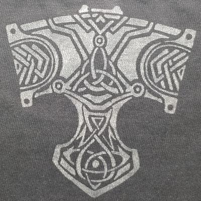 Assassin's Creed T-Shirt - Men's Valhalla Raven Design