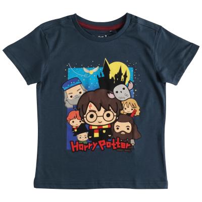Boys Harry Potter T Shirt - Hogwarts Design (77060)