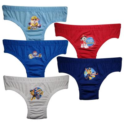 Boys Paw Patrol 5 Pack Pants / Briefs