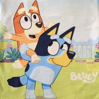 Bluey Pyjamas - Boys - Bluey and Bingo
