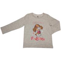Nickelodeon's Paw Patrol- Long Sleeved T-Shirt - Pawsitively Pawsome