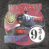 Boys Harry Potter Hogwarts Express Pyjamas 