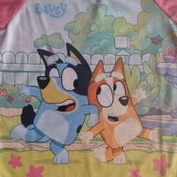 Bluey Pyjamas - Girls Short PJs