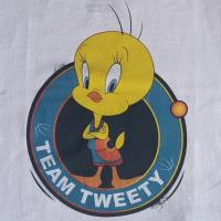 Space Jam - Team Tweety - Boys T-Shirt