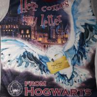 Girls Harry Potter 'Here Comes My Letter' Pyjamas