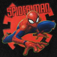 Spiderman Short Pyjamas - Marvel - 4-10 Years