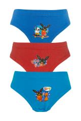 Bing Boys 3 Pack Pants / Briefs