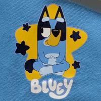 Boys Bluey Pyjamas - Sleepy Time