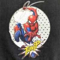 Boys Spiderman Pyjamas - Avengers - Meanwhile...