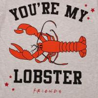 Ladies Friends Pyjamas 