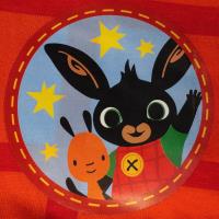 Boys Bing Novelty Pyjamas