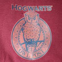 Girls Harry Potter 'Here Comes My Letter' Pyjamas