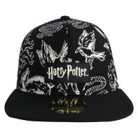 Warner Brothers - Harry Potter Hat - Snapback Cap