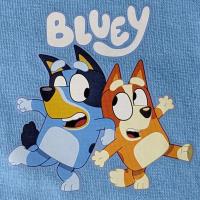 Boys Bluey Shortie Set - Pyjamas - 18 Months to 5 Years 