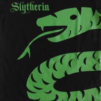 Boys Harry Potter T Shirt - Slytherin Design