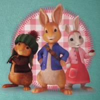 Girls Peter Rabbit Pyjamas