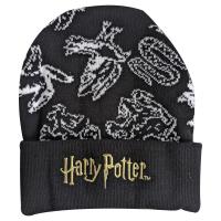Harry Potter Beanie and Scarf - Gift Set - Adult