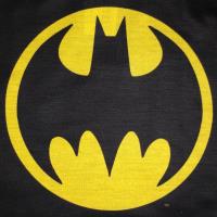 Boys Toddler Batman Signal Pyjamas