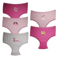 Girls Minnie Mouse 5 Pack Pants / Briefs