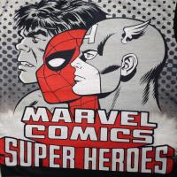 Boys Marvel Comics Superheroes Pyjamas