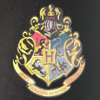 Boys Harry Potter Pyjamas