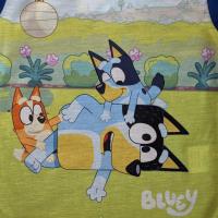 Bluey Pyjama Set - Boys - Bluey, Bingo and Bandit