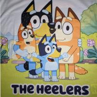 Bluey Nightdress - Girls - The Heelers Nightie